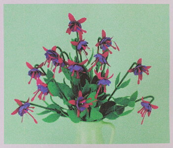 Fuchsia, flower, purple pink