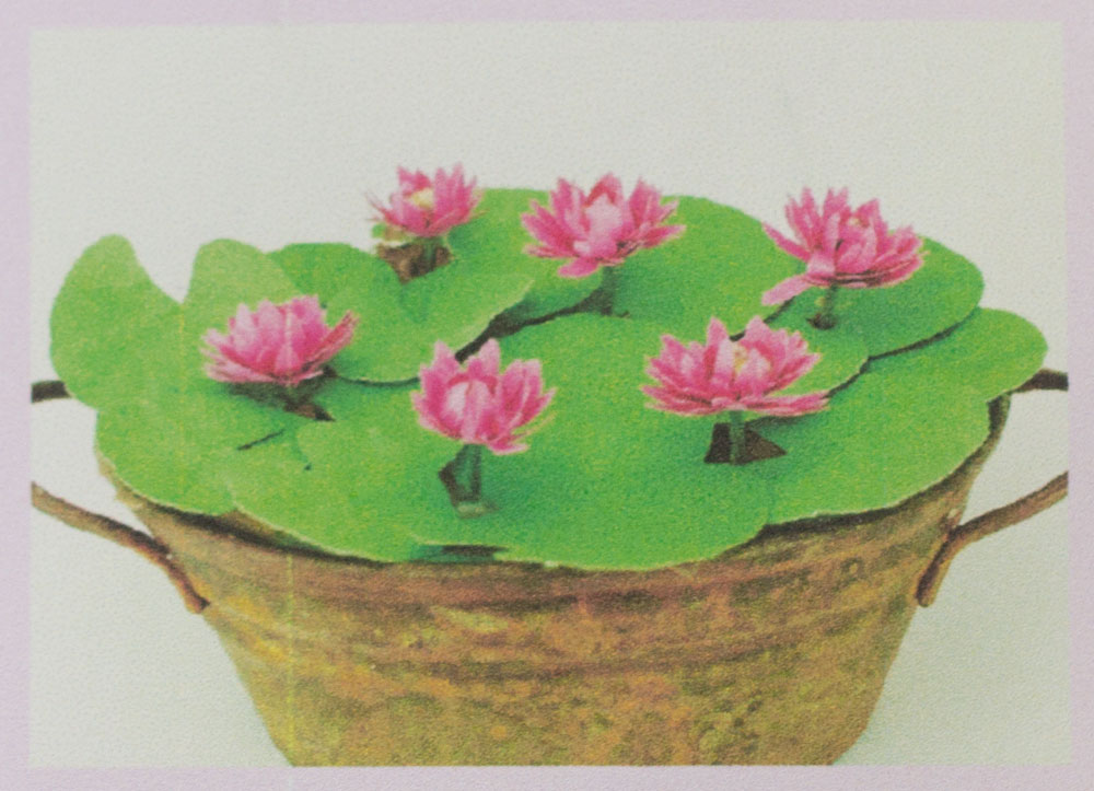 Water lilies, flower kit, cerise