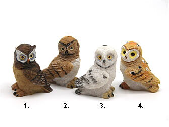 Owl
