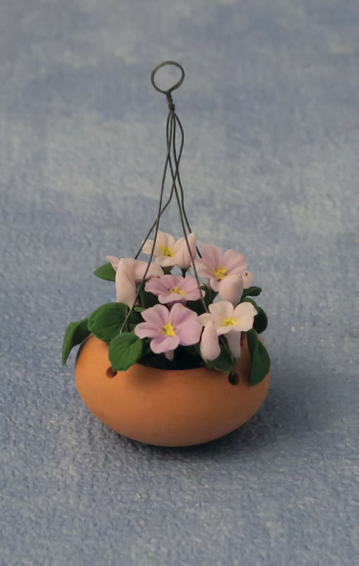 Flower in pot