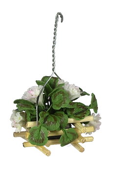 Geranium in hanging pot
