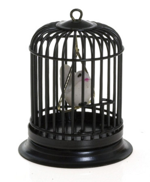 Fågelbur Svart, med fågel