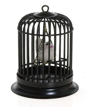 Birdcage Black, with bird