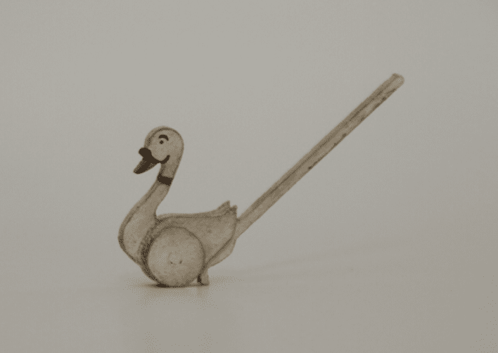 Swan pushtoy
