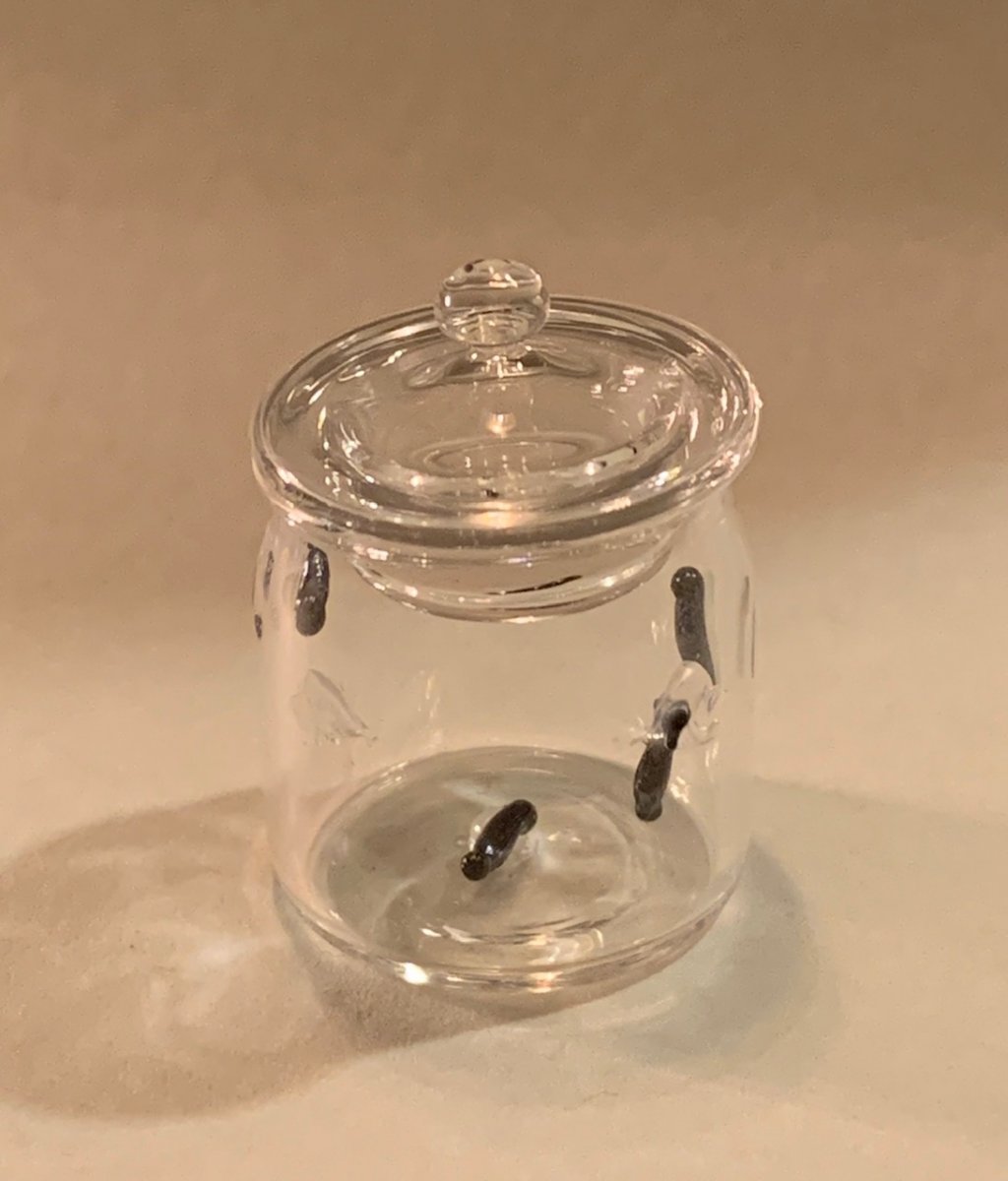 Handmade glass, jar with leeches - handmade in UK