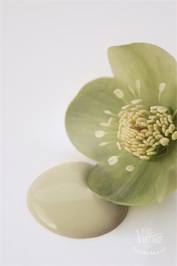 Chalk paint 100 ml- Antique green - från Jeanne d'Arc Living