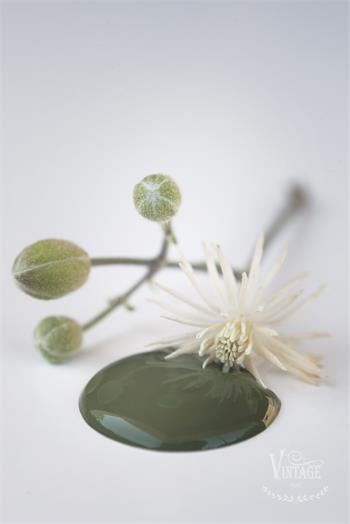 Vintage paint 100ml - Olive Green - från Jeanne d'Arc Living