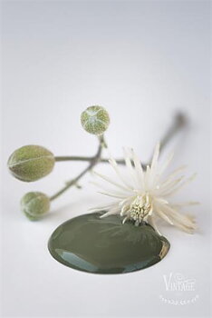 Chalk paint 100 ml- Olive Green - från Jeanne d'Arc Living