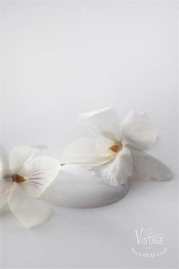 Chalk paint 100 ml- Pearl Grey - från Jeanne d'Arc Living