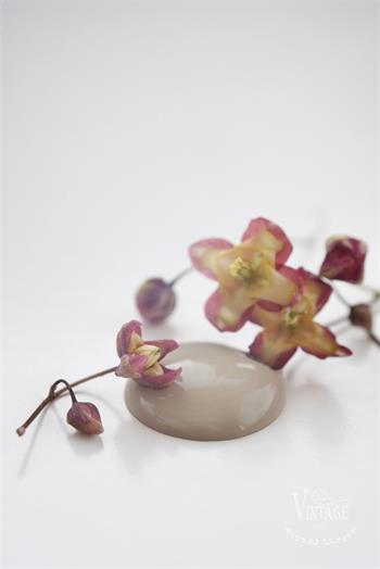 Chalk paint 100 ml- Antique Sand - från Jeanne d'Arc Living