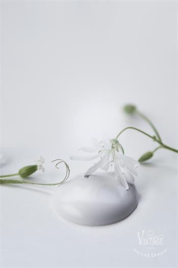 Vintage paint 100ml - Natural White - från Jeanne d'Arc Living