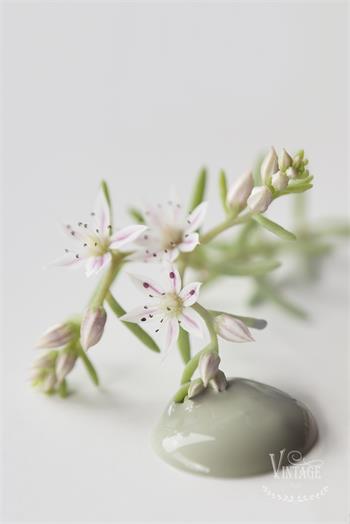 Vintage paint 100ml - Moss Green - från Jeanne d'Arc Living