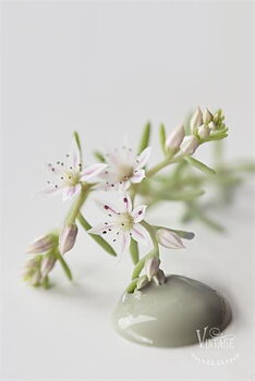 Chalk paint 100 ml- Moss Green- från Jeanne d'Arc Living