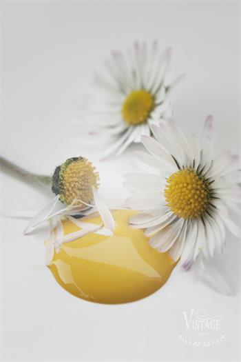 Vintage paint 100ml - Warm Yellow- från Jeanne d'Arc Living