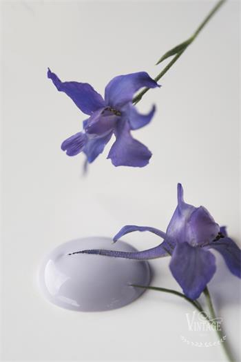 Chalk paint 100 ml- French Lavender - från Jeanne d'Arc Living