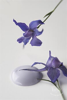 Chalk paint 100 ml- French Lavender - från Jeanne d'Arc Living