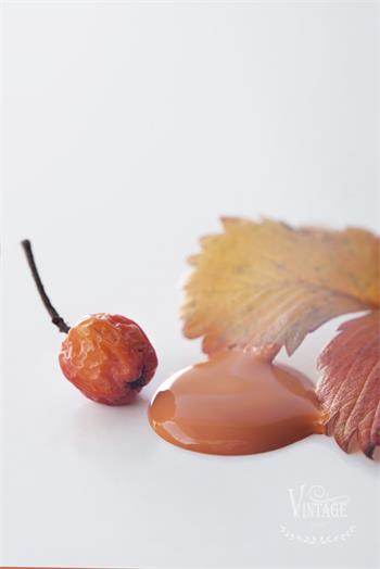 Vintage paint 100ml - Rusty Orange - från Jeanne d'Arc Living