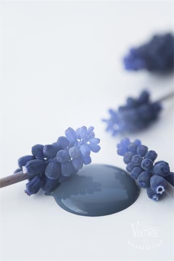Chalk paint 100 ml- Royal Blue- från Jeanne d'Arc Living