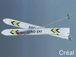 Skis with sticks