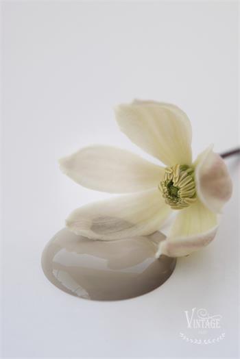 Chalk paint 100 ml- Old Beige- från Jeanne d'Arc Living