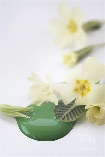 Chalk paint 100 ml- Bright Green- från Jeanne d'Arc Living
