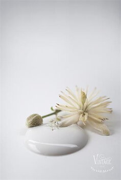 Chalk paint 100 ml- Antique Cream- från Jeanne d'Arc Living