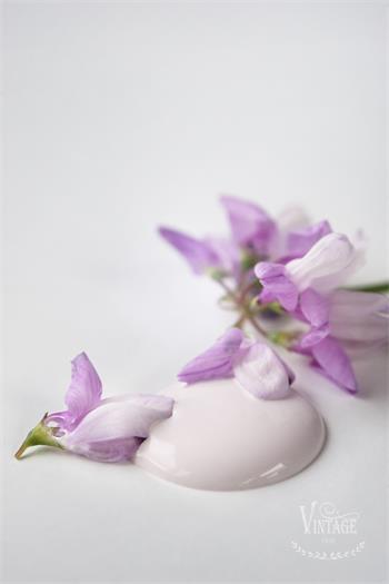 Vintage paint 100ml -Baby Rose - från Jeanne d'Arc Living