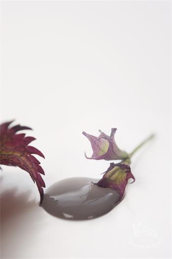Vintage paint 100ml -Dark Powder - från Jeanne d'Arc Living