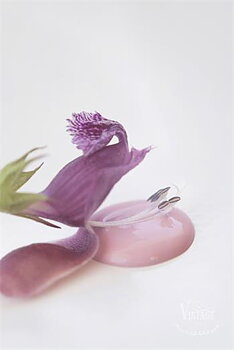 Chalk paint 100 ml- Dusty Rose- från Jeanne d'Arc Living