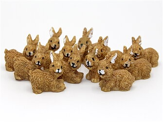 Rabit 1 pcs