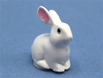 White bunny
