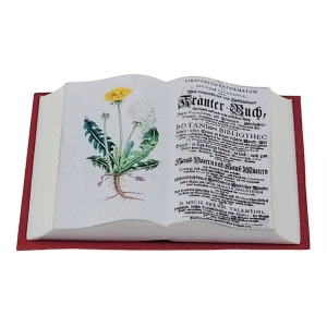 Open book - from Mini Mundus
