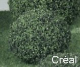 Bush