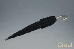 Black umbrella (closed)