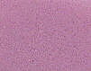 No hole beads  pale pink