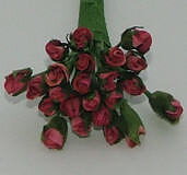Roses dark pink