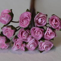 Roses pink