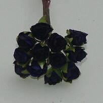 Roses dark blue