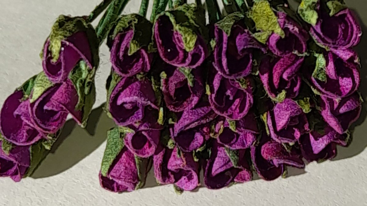 Rosbuds dark purple