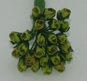 Rosknoppar  Lime