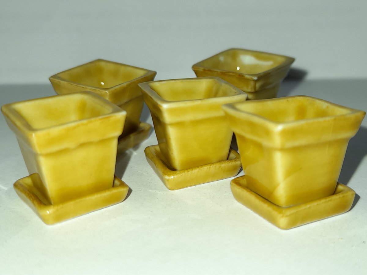 Fem gula blomkrukor på fat