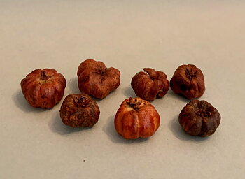 "Pumpor" 6 st