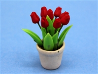 Tulips in pot red