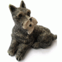 Dogs