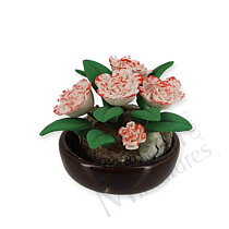Växter och blommor
