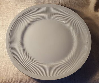 Light grey dinner plate