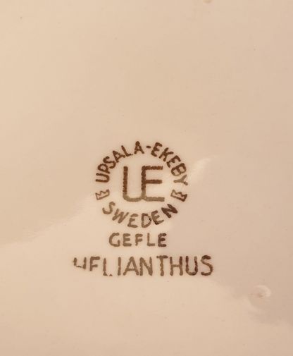 Helianthus dinner plate - 3