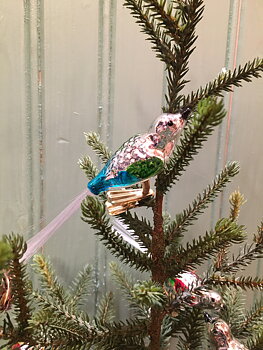 Glasfågel blå grön
