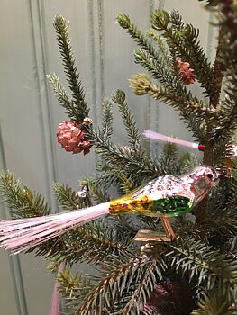 Glasfågel gul grön