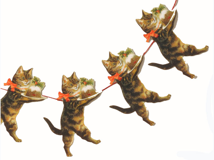 Kattgirland